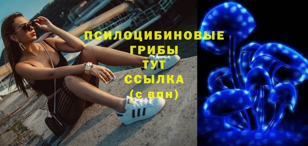 Альфа ПВП Абаза