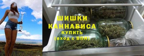 сатива Абинск
