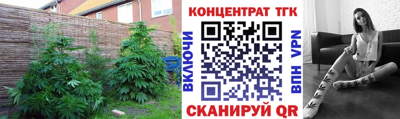 сколько стоит  Златоуст  ТГК вейп 